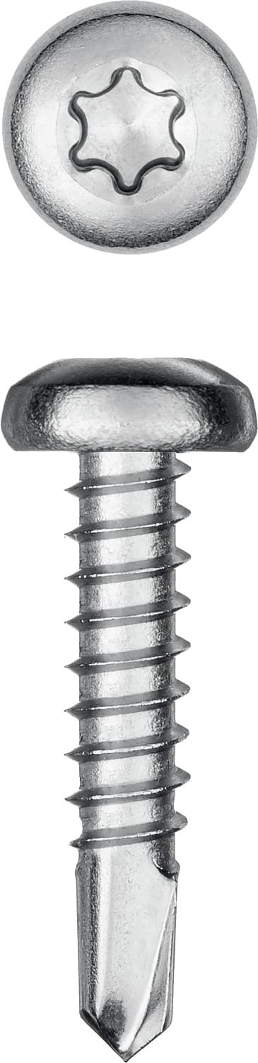 KRAFTOOL DS-P, 19 х 3.9 мм, А2, сверло, полукруглая головка, ТХ15, 750 шт, саморез нержавеющий (300931-39-019)