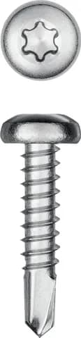 KRAFTOOL DS-P, 19 х 3.9 мм, А2, сверло, полукруглая головка, ТХ15, 750 шт, саморез нержавеющий (300931-39-019)