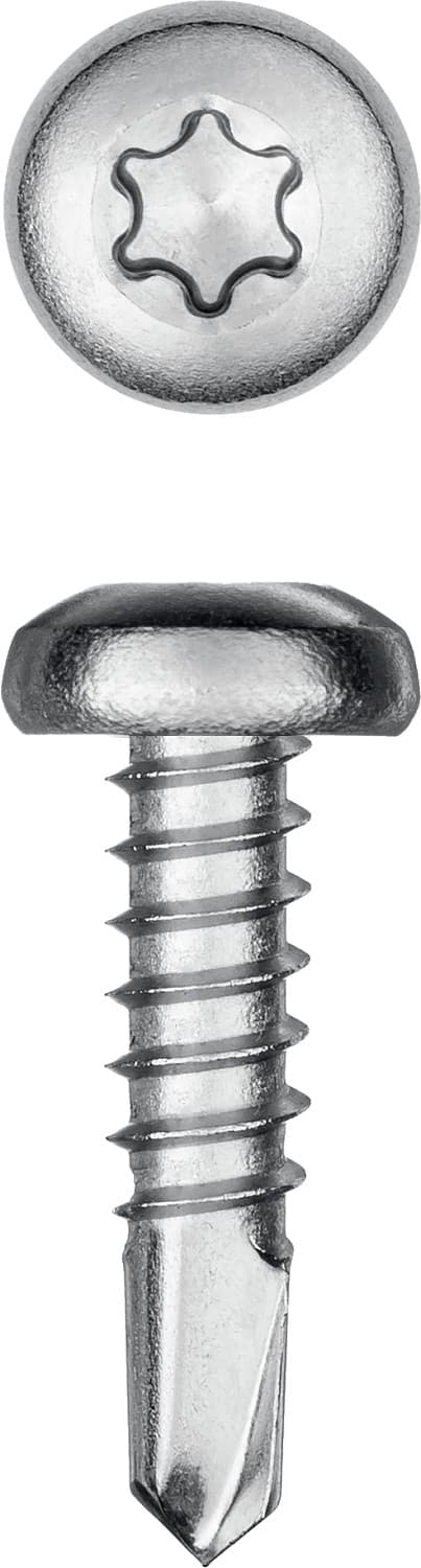 KRAFTOOL DS-P, 13 х 4.2 мм, А2, сверло, полукруглая головка, ТХ20, 600 шт, саморез нержавеющий (300931-42-013)