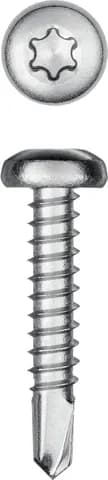 KRAFTOOL DS-P, 25 х 3.9 мм, А2, сверло, полукруглая головка, ТХ15, 500 шт, саморез нержавеющий (300931-39-025)