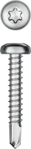 KRAFTOOL DS-P, 32 х 4.8 мм, А2, сверло, полукруглая головка, ТХ25, 250 шт, саморез нержавеющий (300931-48-032)