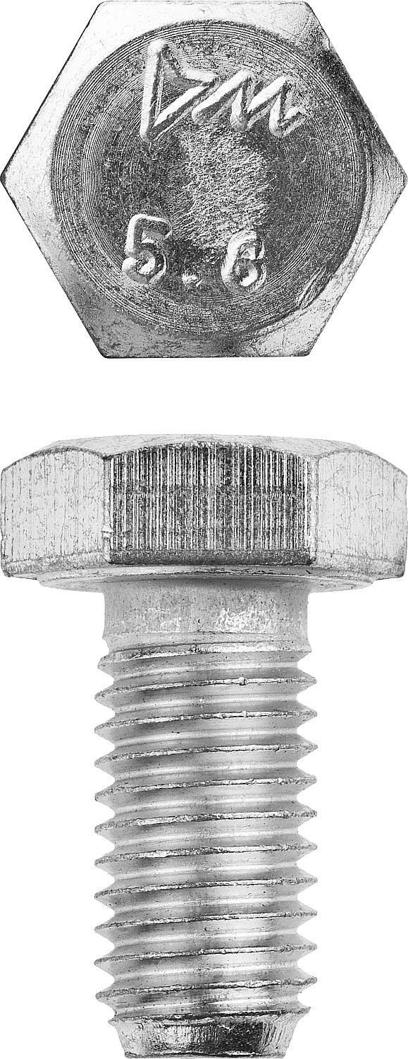 ЗУБР ГОСТ 7798-70, кл. пр. 5.8, M12 х 20 мм, цинк, 5 кг, болт (303080-12-020)